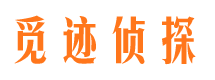 兴平市调查公司